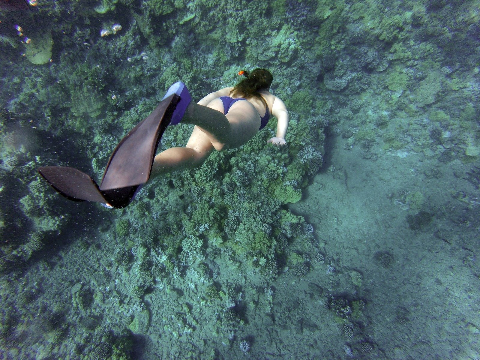 Female Snorkeler diving down onto coral reeg