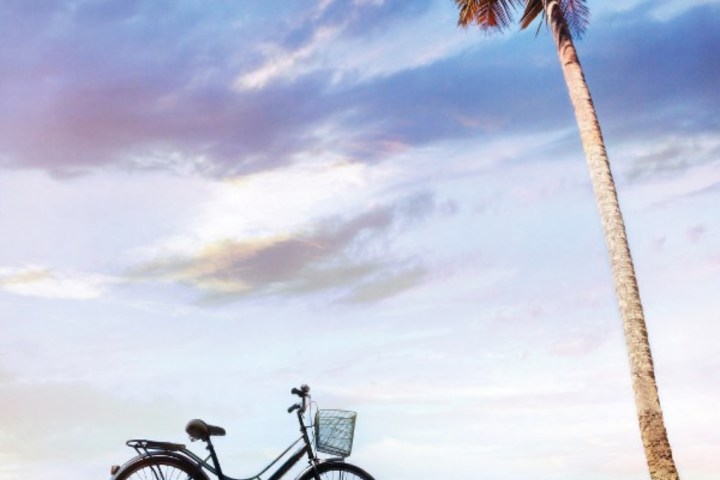 a bicycle next to a palm tree on a beach