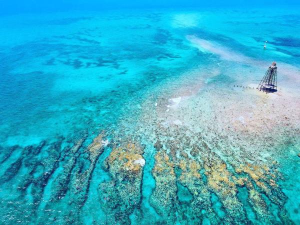 key west snorkeling tours barefoot billys
