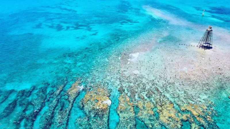 key west snorkeling tours barefoot billys