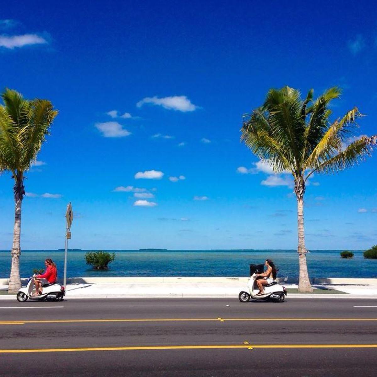 a person riding on top of a sandy beach with palm trees