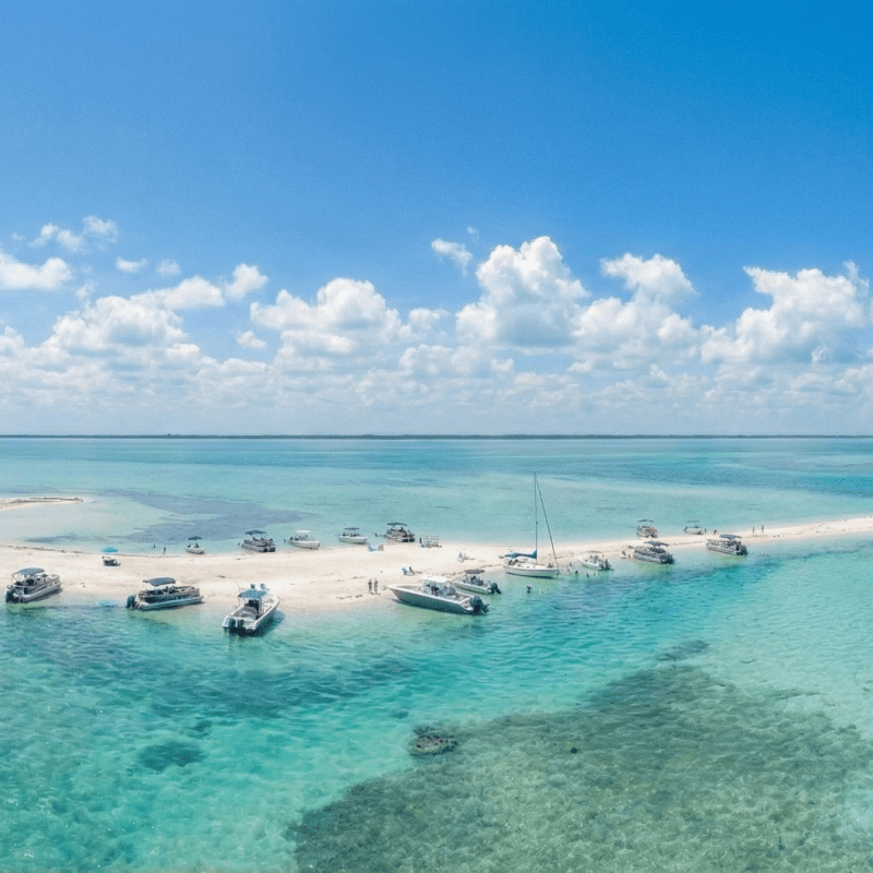 sandbar boat rentals key west (2)