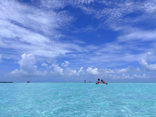 sandbar tour company in key west barefoot billys